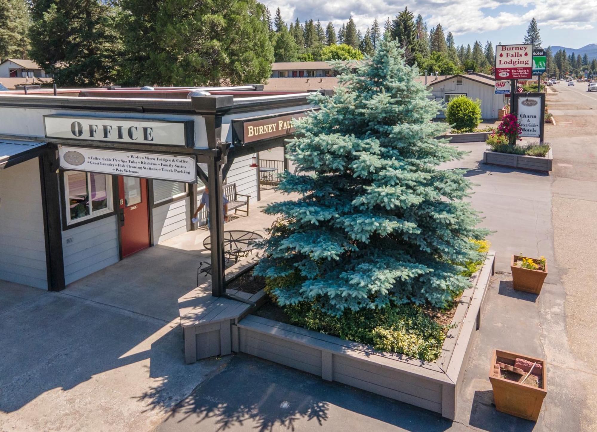 Charm Motel & Suites Burney Dış mekan fotoğraf